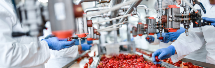 Food Grade Magnets: Types, Uses, and Benefits