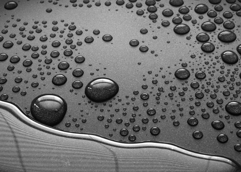 What are the best magnet coatings for your application?